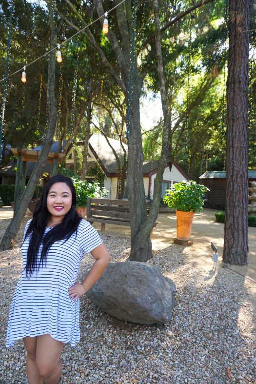 chrofmeg_irrisistablemereview7