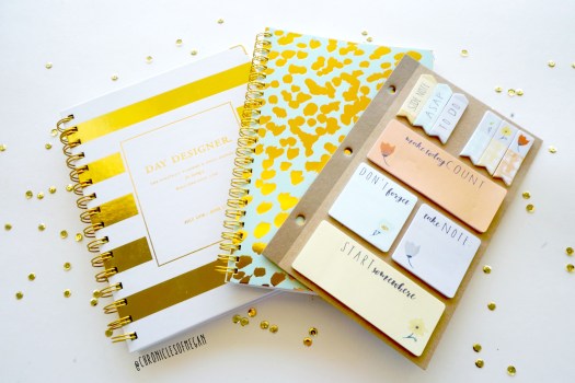 1chrofmeg_aug16wk3igs1